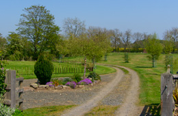 drive way