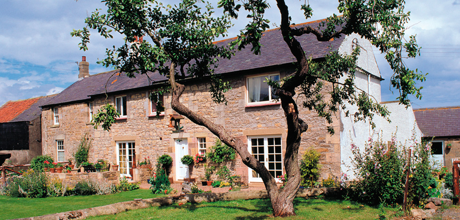 rock mill cottage