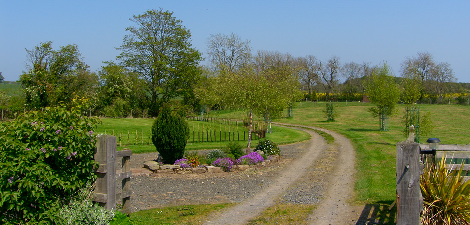 rock mill holiday homes northumberland