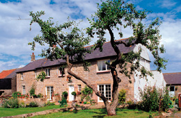 rock mill cottage